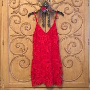 Express Lace Cocktail Dress Red